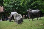 2013 07 06 beauval 064